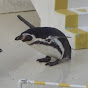水族館、動物園巡り　Aquarium&Zoo