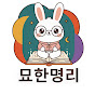 묘한명리 사주 운세