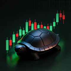 The Unknown Turtle