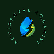 The Accidental Aquarist