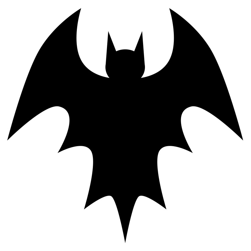 Explore Bat Cams: Bat Caves & Flying Foxes logo