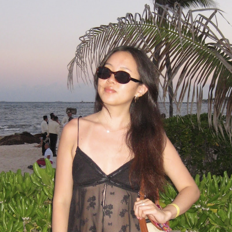 lily zhang icon