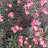 @nour0nour