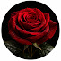 wbnnV8d9hSQ-channel-avatar-شاعر وشعور