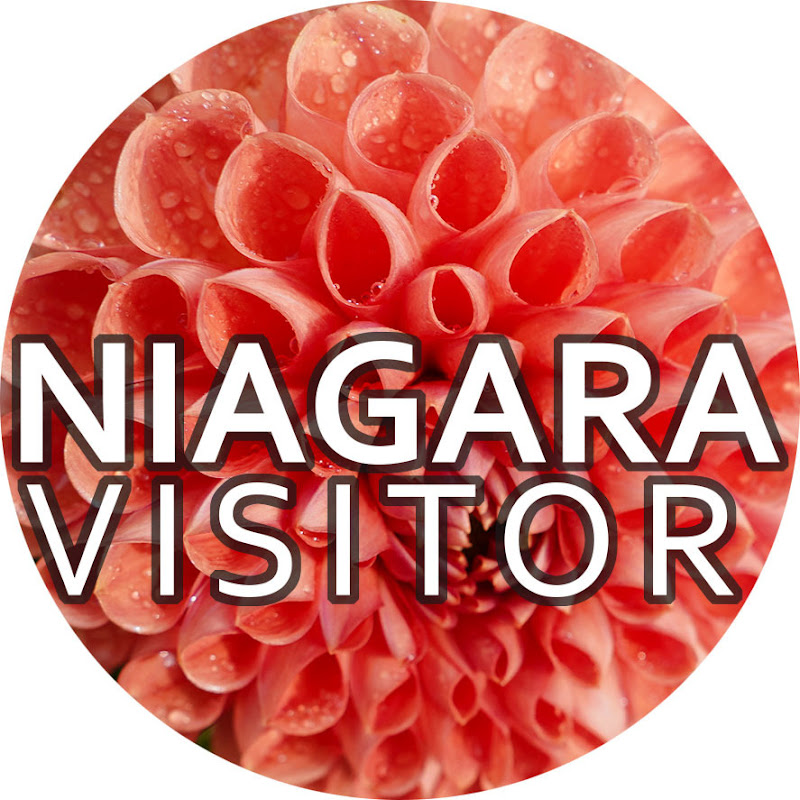 Niagara Visitor