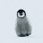 @user-hu6bb4ru3f