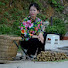 xgmuJoee9_w-channel-avatar-Triệu Hạnh TV