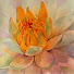 vTY-BactajA-channel-avatar-Alexis Lavine Watercolor Studio