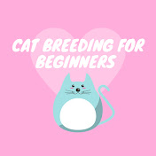 Cat Breeding for Beginners