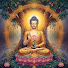 CiA5A5M99q8-channel-avatar-Tâm Minh Thiền Đường