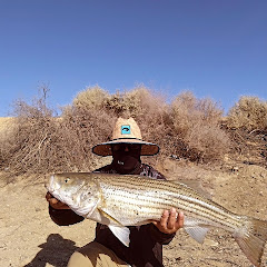 Fineline Fishing