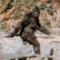 Av69pQuhLYc-channel-avatar-Squatch253