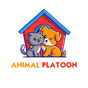 Animal Platoon