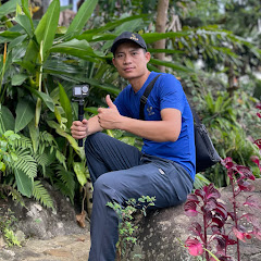 Bình Minh TV