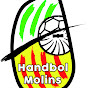 Handbol Molins logo