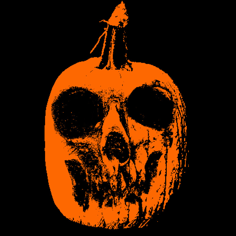 Xx_skull_mug_xX