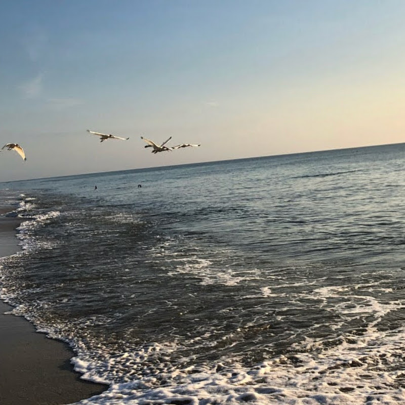 Namastetravelr