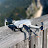 4K Drone Footage
