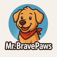 Mr. BravePaws