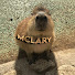 qTinDzdMk2s-channel-avatar-Mclary