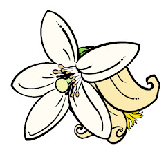 わたなべの農  -みんなで楽しく果樹栽培-