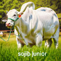 SOJIB JUNIOR logo