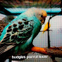 budgies parrot lover logo