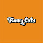 Funny Cats USA logo