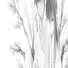 nFhu1HaEmLY-channel-avatar-shifty