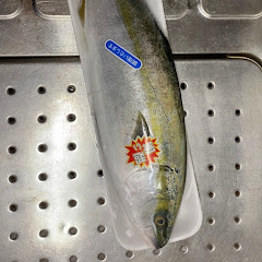 魚捌きチャンネルアイコン画像