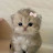 @teeba.1943