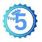 Msutop5 logo