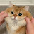 @mingmingmin