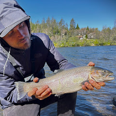 Travels Through Nature channel thumbnail