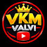 GLKpAegQ9xw-channel-avatar-VKM valvi