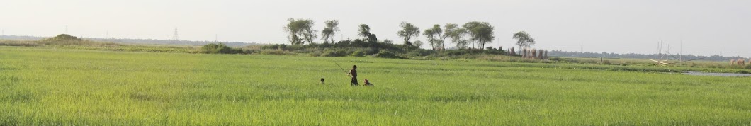 MR Fishing Life ইউটিউব চ্যানেল অ্যাভাটার