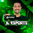 JL eSPORTS