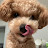 @grace96eun