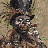 @dibarondj8790's avatar