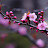 @Pja-u3n