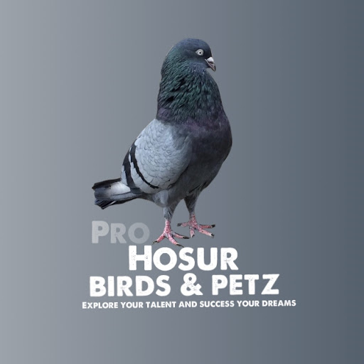 HOSUR BIRDS & PETZ