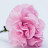 @روضه-ز8ف