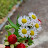 @verse7477