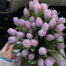 Автор