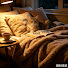 SSU6QctVO6E-channel-avatar-Quiet Night Dreams