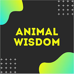Animal Wisdom