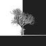 WEg__f7VgZs-channel-avatar-PMiddy001