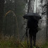 9nZyCgtC8Cg-channel-avatar-Silent Orest.