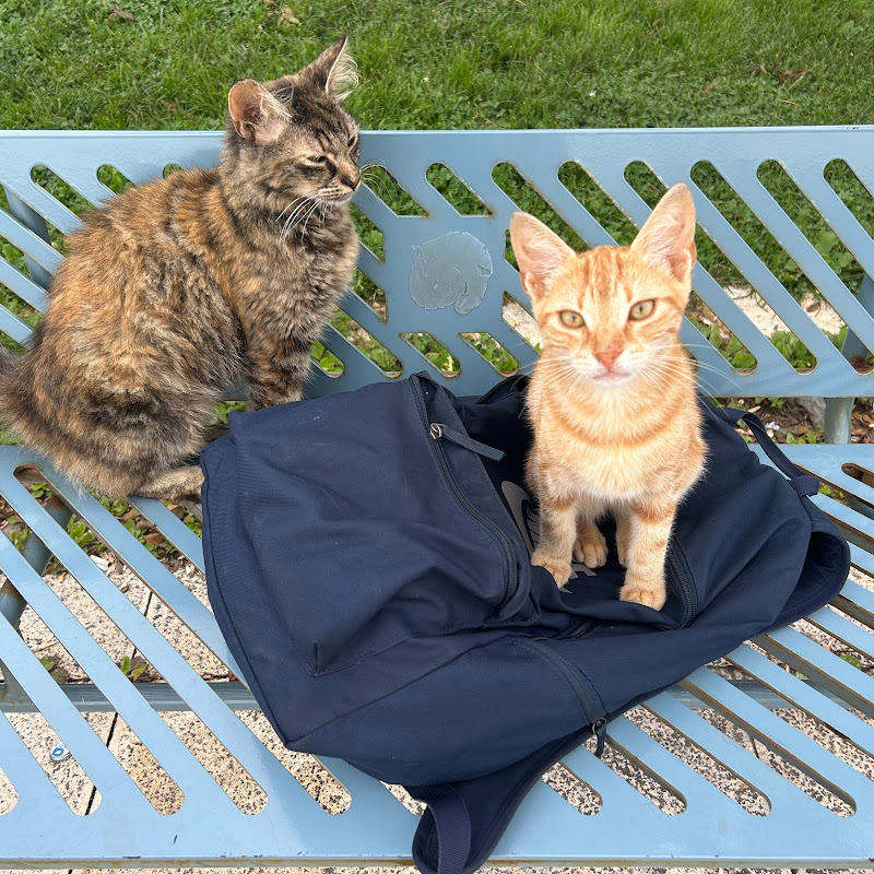 Everything For Animals :)