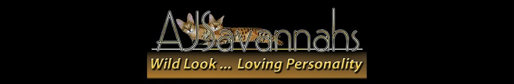 AJSavannahs YouTube-Kanal-Avatar